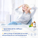 Hiqili 100Ml Spearmint Essential Oil For Skin Care -100% Pure Treatment Grade - 3.38 Fl Oz