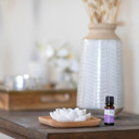 Plant Therapy Passive Lotus Flower Aromatherapy Diffuser - A Chic And Natural Home, Office, And Travel Essential Oil Diffuser
