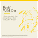 Bach Original Flower Remedies, Wild Oat For Deciding Life'S Path, Natural Homeopathic Flower Essence, Holistic Wellness And Stress Relief, Vegan, 20Ml Dropper