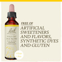 Bach Original Flower Remedies, Wild Oat For Deciding Life'S Path, Natural Homeopathic Flower Essence, Holistic Wellness And Stress Relief, Vegan, 20Ml Dropper