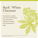 Bach Original Flower Remedies, White Chestnut For Calming Repetitive Thoughts (Non-Alcohol Formula), Natural Homeopathic Flower Essence, Holistic Wellness, Vegan, 10Ml Dropper