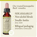 Bach Original Flower Remedies, White Chestnut For Calming Repetitive Thoughts (Non-Alcohol Formula), Natural Homeopathic Flower Essence, Holistic Wellness, Vegan, 10Ml Dropper