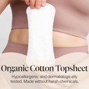 Cora Period Regular Liners | 100% Organic Cotton Topsheet | Ultra Thin, Quick Absorbency | Hypoallergenic | Dermatologically Tested | Unscented, No Wings (144 Liners)