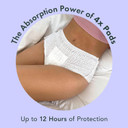 Rael Disposable Underwear For Women, Organic Cotton Cover - Incontinence Pads, Postpartum Essentials, Disposable Underwear, Unscented, Maximum Coverage (Size L-Xl, 8 Count)