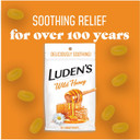 Luden'S Deliciously Soothing Throat Drops, Wild Honey Flavor, 30 Count