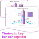 Premom Ovulation & Pregnancy Test Kit: 50 Quantitative Ovulation Strips & 20 Early Pregnancy Detction Tests Combo - Accurate Fertility Tracker Opk With Free App, 50Lh+20Hcg Pm2-S+Pm1-S:50+20