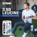 Xtend Original Bcaa Powder Blue Raspberry Ice - Sugar Free Post Workout Muscle Recovery Drink With Amino Acids - 7G Bcaas For Men & Women - 30 Servings