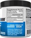 Pure Vegan L-Glutamine Powder Supplement - Evlution Nutrition Nitric Oxide Booster 5G L Glutamine Supplement For Post Workout Recovery Enhanced Pumps Gut Health Energy And Immunity - Unflavored