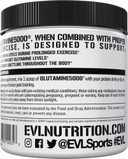 Pure Vegan L-Glutamine Powder Supplement - Evlution Nutrition Nitric Oxide Booster 5G L Glutamine Supplement For Post Workout Recovery Enhanced Pumps Gut Health Energy And Immunity - Unflavored