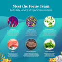 Vegan Brain Focus Gummies For Kids - Kids Focus Supplement With Phosphatidylserine Bacopa Monnieri Green Tea Extract Tyrosine And More Focus Vitamins For Kids Balanced Concentration Energy And Focus