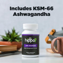 Zen Warrior Stress Management Formula. Organic Ashwagandha, Rhodiola, L-Theanine, Magnesium. (1 Bottle, 60 Capsules)