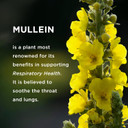 Mullein Gummies 9In1 - Mullein Leaf Extract For Lungs, Breathe Better With Mullein Gummies For Lungs And Sinus Support - Cleanse, Clarity, Relief (90Ct)