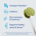Vital Proteins Matcha Collagen Peptides Powder Supplement, Matcha Green Tea Powder, 10.5 Oz, Original Flavored