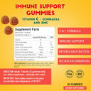 Alfa Vitamins Immune Support Gummies With Vitamin C Plus Zinc & Echinacea - Daily Immune Support Booster For Adults - Orange Flavor - 60 Gummies
