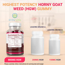 Potent Horny Goat Weed Gummies (60Ct 800Mg) Horny Goat Weed For Men & Women Epimedium Extract Natural Grapefruit Flavor Chew [Upgraded Gummies] 60Ct