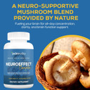 Paleovalley Neuroeffect - Neuro Mushroom Coffee Nutritional Supplement For Focus, Memory, And Energy Support - 3 Pack - 8 Full-Spectrum Mushrooms And Whole Coffee Fruit Extracts