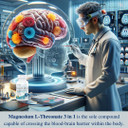 Magnesium L-Threonate (60 Capsules (Package Of 1)