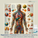 Magnesium L-Threonate (60 Capsules (Package Of 1)