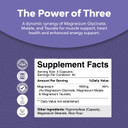Triple Magnesium Complex Supplement 400Mg Elemental - High Absorption Magnesium Taurate And Glycinate Plus Malate Magnesium Blend For Sleep Muscle Bone Mood And More - Non Gmo Vegan Magnesium