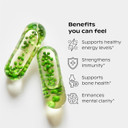 Wholier Plant Based Multivitamin Vegan Omega-3 Dha Epa, Vitamin D, Vitamin B12, Zinc, Vitamin K2, Iron, Iodine, Selenium. 60 Count (30-Day Supply) Glass Bottle