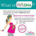 Baby Booster Creamy Strawberry Prenatal Vitamin Supplement And Protein Shake, Caffeine Free, All Natural, Vegetarian Dha, High Protein, Methyl Folate, B Vitamins, Great For Morning Sickness, 1 Lb