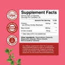 Myo-Inositol & D-Chiro Inositol Capsules - Choline Inositol Supplement For Cycle And Fertility Support - Womens Hormone Balance Supplement With Myo & D-Chiro Inositol Plus Choline Bitartrate
