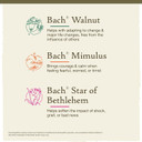 Bach Original Flower Remedies 3-Pack, "Adapt To Change"- Walnut, Mimulus, Star Of Bethlehem, Homeopathic Flower Essences, Vegan, 20Ml Dropper X3, Empty Mixing Bottle X1