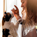 Capsuline Size 3 Empty Chicken Flavored Petcaps For Cats Of All Life Stages - 100 Count - Empty Pill Capsules To Hide Medicine Taste And Scent