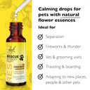 Bach Rescue Remedy Pet Dropper 20Ml, Natural Stress Relief, Calming For Dogs, Cats, & Other Pets, Homeopathic Flower Essence, Thunder, Fireworks & Travel, Separation, Sedative-Free