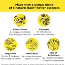 Bach Rescue Remedy Pet Dropper 20Ml, Natural Stress Relief, Calming For Dogs, Cats, & Other Pets, Homeopathic Flower Essence, Thunder, Fireworks & Travel, Separation, Sedative-Free