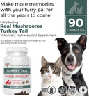 Turkey Tail Pet Support - Dog Multivitamins And Supplements For Immune Support, Gut Health & Wellness - Grain-Free, Gluten-Free, Vet-Approved Dog Supplement (90Ct)