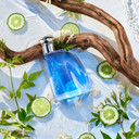 Nautica Blue Eau De Toilette For Men - Invigorating, Fresh Scent - Woody, Fruity Notes Of Pineapple, Water Lily, And Sandalwood - Everyday Cologne - 3.4 Fl Oz