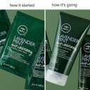 Tea Tree Lavender Mint Deep Conditioning Mineral Hair Mask, Hydrates + Strengthens, For Coarse + Dry Hair