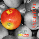 Hawaiian Silky Static-Free Apple Cider Vinegar Leave-In Conditioner, 8 Fl Oz - Black Castor Oil Extract For Hair Growth - Natural Treatment Men, Women & Kids - Good On Color Treated Scalp