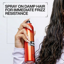 Redken Spray Smooth Anti Frizz Treatment Spray | Frizz Control And Heat Protectant For Hair | Instant Smoother | With Citric Acid | Paraben, Sulfate & Silicone-Free