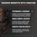 Falcon Performance Vegan Protein Powder, 31G Protein, 5G Creatine, 5G Bcaa, Probiotics, Electrolytes, Pre Workout, Low Carb, Sugar Free & Dairy Free, Plant Based Chocolate Protein -19 Servings