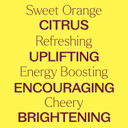 Plant Therapy Sweet Orange Essential Oil 100% Pure, Undiluted, Natural Aromatherapy, Therapeutic Grade 30 Ml (1 Oz)