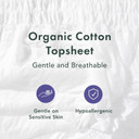 Rael Disposable Underwear For Women, Organic Cotton Cover - Incontinence Pads, Postpartum Essentials, Disposable Underwear, Unscented, Maximum Coverage (Size S-M, 10 Count)