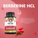 Ancient Bliss Berberine Hcl 1200Mg With Ceylon Cinnamon, Bitter Melon, And Green Tea Extract - 120 Capsules - Supports Insulin, Glucose Metabolism, Immune System - Blood Sugar Support