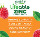 Lifeable Zinc 50Mg Gummies - Great Tasting Natural Flavor Gummy Supplement - Gluten Free, Vegetarian, Gmo-Free, Chewable Vitamins - For Healthy Immune Support - For Adults, Man, Women - 90 Gummies