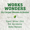 Biokleen Bac-Out Carpet Stain Remover Enzymatic, Destroys Stains & Odors Safely, For Pet Urine, Laundry, Diapers, Wine, Carpets, More, Eco-Friendly, Plant-Based