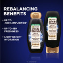 Garnier Whole Blends Black Charcoal & Nigella Flower Oil Rebalancing Shampoo And Conditioner Set For Greasy Scalp & Dry Ends With Sample, 26.6 Fl Oz, 1 Kit (Packaging May Vary)