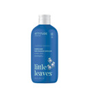 Attitude Bubble Wash For Kids, Hair Shampoo And Body Soap, Ewg Verified, Plant- And Mineral-Based, Vegan, Blueberry, 16 Fl Oz Attitude Bubble Wash For Kids, Hair Shampoo And Body Soap, Ewg Verified, Plant- And Mineral-Based, Vegan, Blueberry, 16 Fl Oz