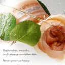 Bliss Youth Got This And Pure Retinol Deep Hydration Moisturiser Visibly Diminishes Fine Lines Clean Fragrance-Free Cruelty-Free Paraben Free Vegan 50 Ml