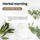 Attitude Dishwashing Liquid, Ewg Verified, Vegan Dish Soap, Plant Based, Naturally Derived Products, Herbal Morning, 24 Fl Oz