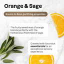 Attitude Multi-Purpose Cleaner With Essential Oils, Ewg Verified, Plant And Mineral-Based Ingredients, Vegan Household Products, Refillable Aluminum Bottle, Orange And Sage, 16 Fl Oz