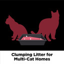 Arm & Hammer Clump & Seal Platinum Clumping Cat Litter, Multi-Cat, 27.5Lb