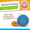 Arm & Hammer For Pets Super Treadz Blowfish Dental Chew Toy For Dogs | Best Dental Dog Chew Toy | Dog Dental Fetch Toys Reduce Plaque & Tartar Buildup Without Brushing | For Dogs Up To 25 Lbs