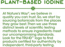 Nature'S Way Premium Herbal Bladderwrack Whole Thallus 580 Mg, 100 Count (Pack Of 2)
