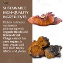 Sayan Organic Instant Arabica Colombian Coffee Mushroom Blend With Wild Harvested Siberian Chaga & Reishi Extract - Energy, Clarity, Wellness - 20 Packets (0.09Oz/2.5G Each)